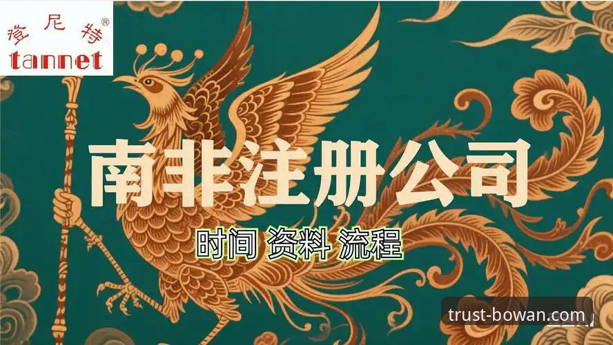 博万体育下载详解：从安装到注册的全流程指南